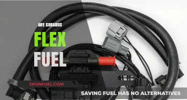 Are Subarus Flex Fuel? Exploring Compatibility and Fuel Options