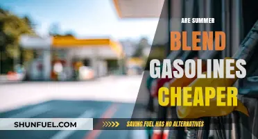 Exploring the Cost-Effectiveness of Summer Blend Gasolines