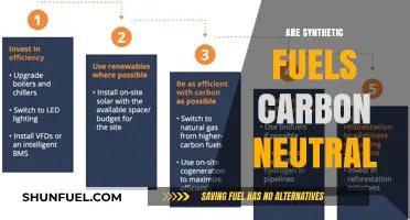 Synthetic Fuels: Unveiling Their Carbon Neutrality Potential and Challenges