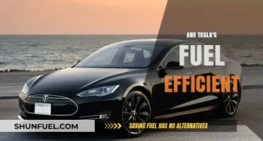 Are Tesla's Fuel Efficiency Claims Too Good to Be True?