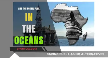 The Ocean's Fossil Fuel Secrets
