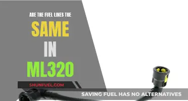 Fuel Line Compatibility for the ML320: Are They All the Same?