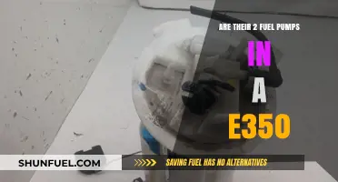 Exploring the E350's Fuel System: Dual Pumps or Single Setup?