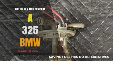 BMW 325 Fuel System: Does It Feature Dual Fuel Pumps?
