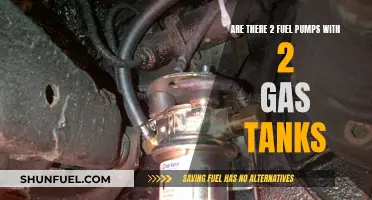Dual Fuel Pumps: Two Tanks, One Car?