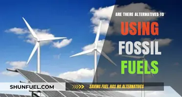 Exploring Sustainable Energy: Alternatives to Fossil Fuels for a Greener Future
