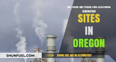 Oregon's Fossil Fuel Power Plants: Locations and Impacts