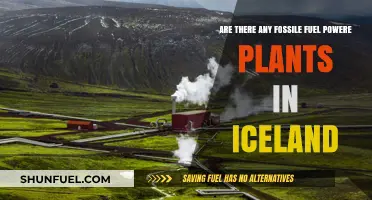 Iceland's Power Plants: Fossil Fuel Free?