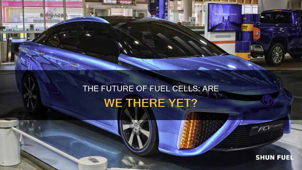 are there any functioning fuel cell cars now