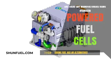 Hydrogen Fuel Cells: Which Manufacturers Are Leading the Charge?