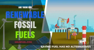 Renewable Fossil Fuels: Myth or Reality?