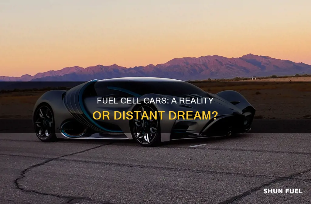 are there cars that contain fuel cells
