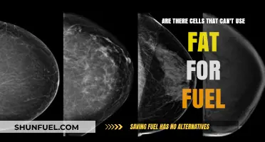 Cells and Fat Fuel: Which Ones Can't Burn Fats?
