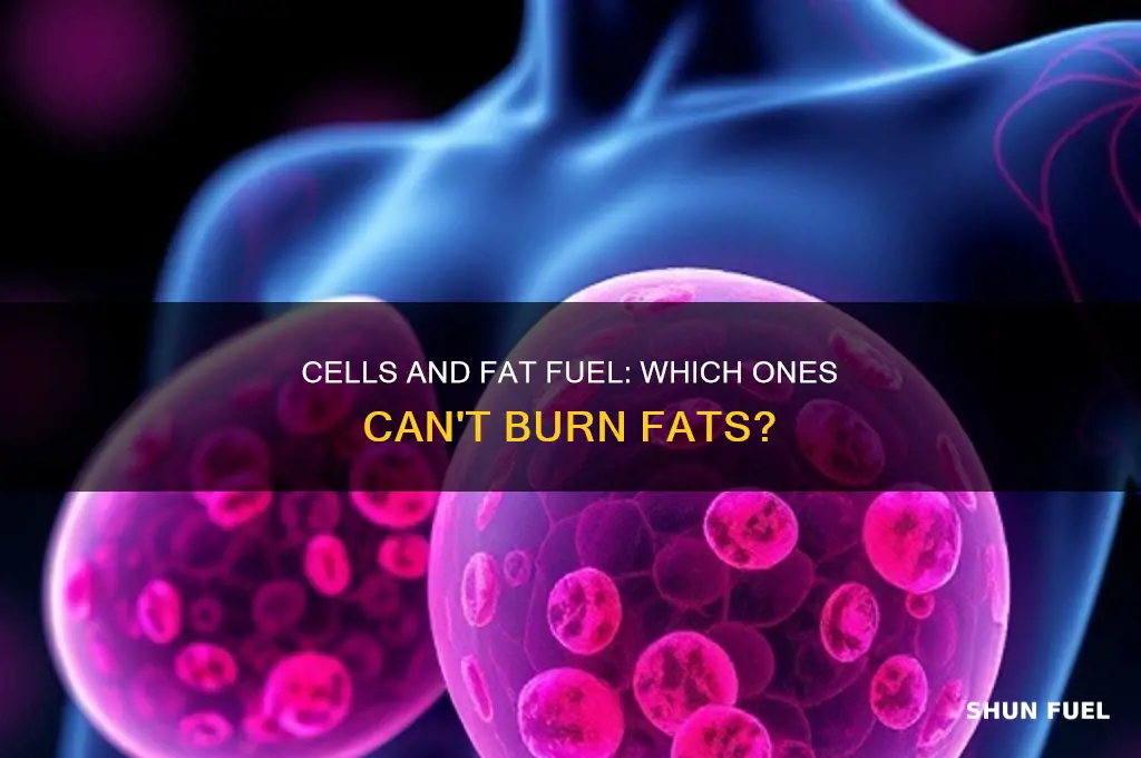 are there cells that can