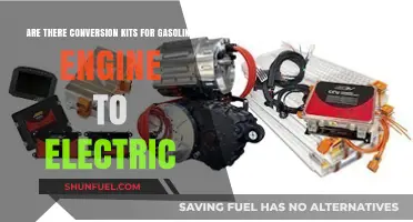 Revamping Rides: The Journey from Gasoline to Electric Power
