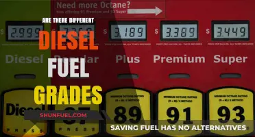 Diesel Fuel Grades: Understanding the Different Types