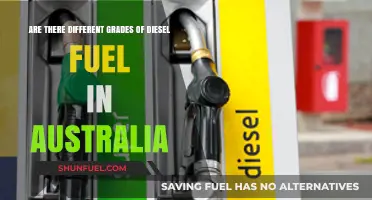 Diesel Fuel Grades: Australia's Options Explored