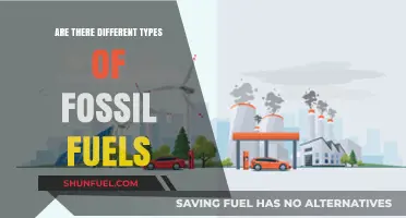 What Are the Different Fossil Fuel Types?