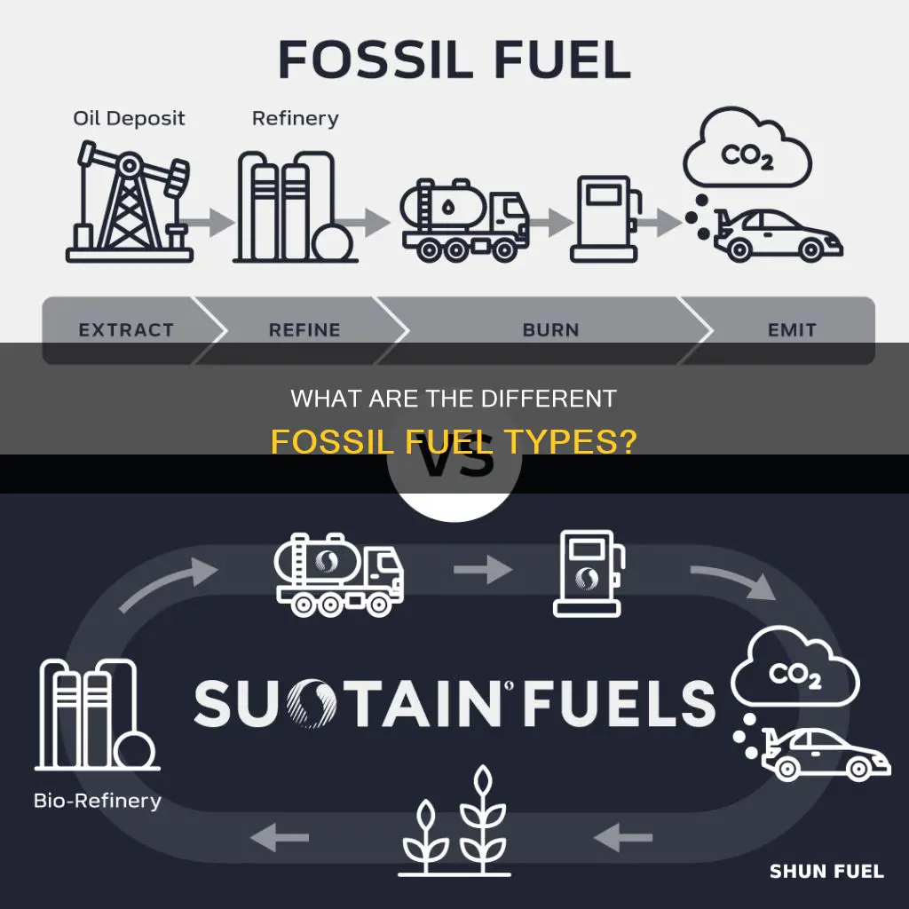 are there different types of fossil fuels