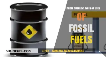 Exploring the Diverse Types and Uses of Fossil Fuels