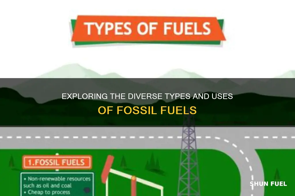 are there different types or uses of fossil fuels