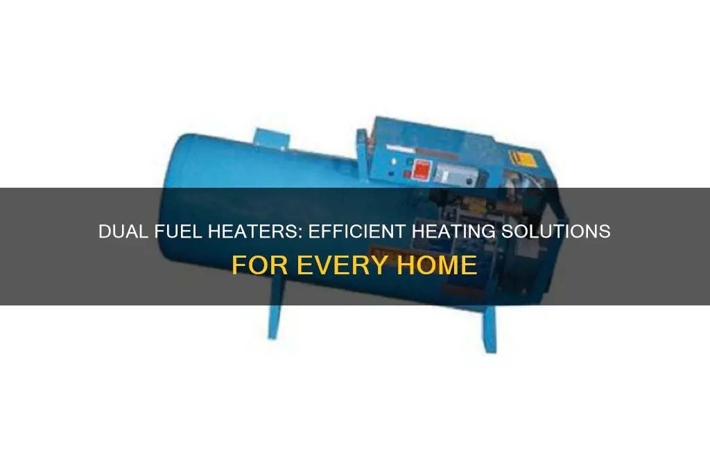 are there dual fuel heaters