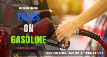 Exploring the Impact of Federal Taxes on Gasoline Prices