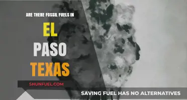 Fossil Fuel Findings in El Paso, Texas