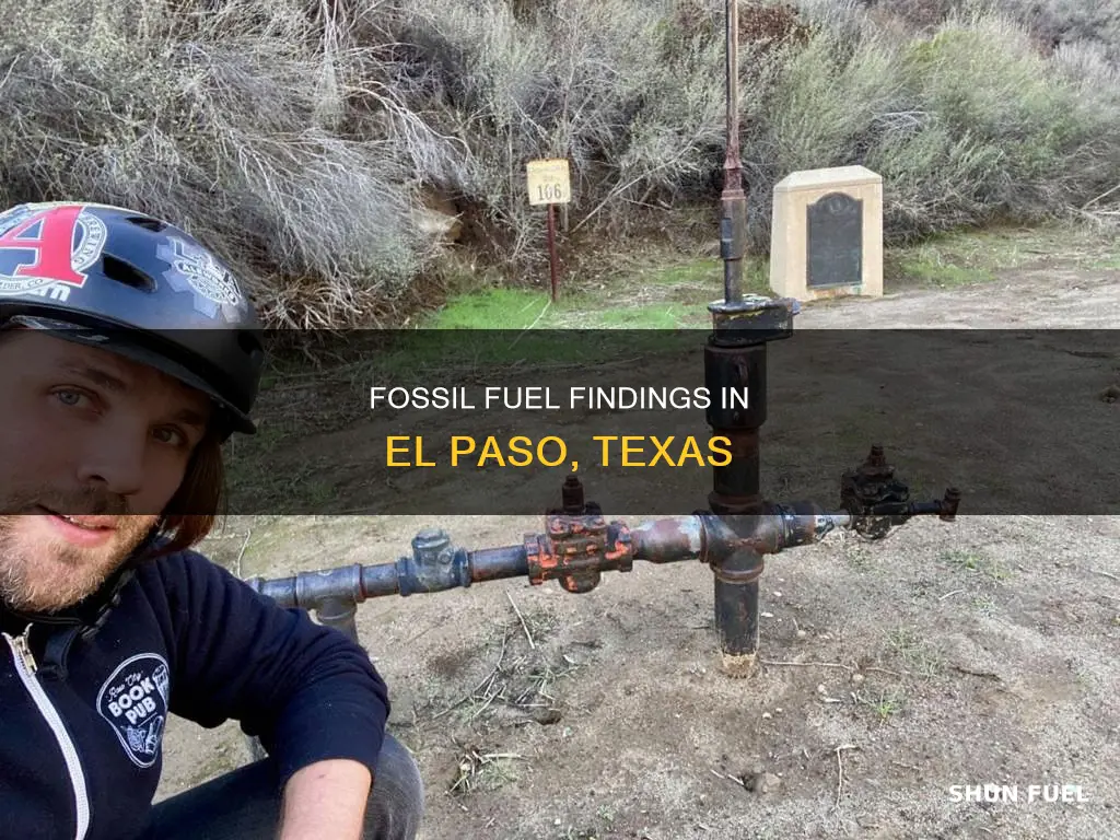 are there fossil fuels in el paso texas
