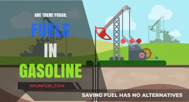 Fossil Fuels and Gasoline: What's the Connection?