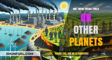 Fossil Fuels: Are Other Planets Hiding Them?