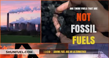 The Future of Fuels: Exploring Non-Fossil Fuel Alternatives