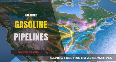 Exploring the Network: Are There Gasoline Pipelines?