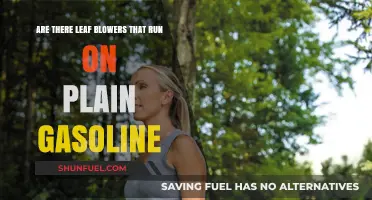 Exploring Leaf Blower Options: Gasoline-Powered Choices