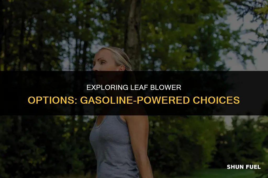 are there leaf blowers that run on plain gasoline