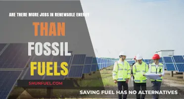 Renewable Energy Jobs: A Brighter Future?