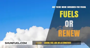 Fossil Fuels vs. Renewables: Who Gets More Subsidies?