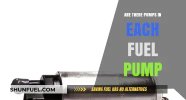Do All Fuel Pumps Contain Internal Pumps? A Detailed Explanation