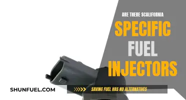 Fuel Injectors: California's Unique Requirements Explored