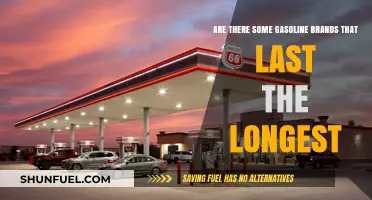 Exploring Gasoline Brands: Which Ones Offer the Longest-Lasting Performance?