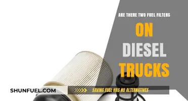Diesel Truck Maintenance: Dual Fuel Filters for Optimum Performance