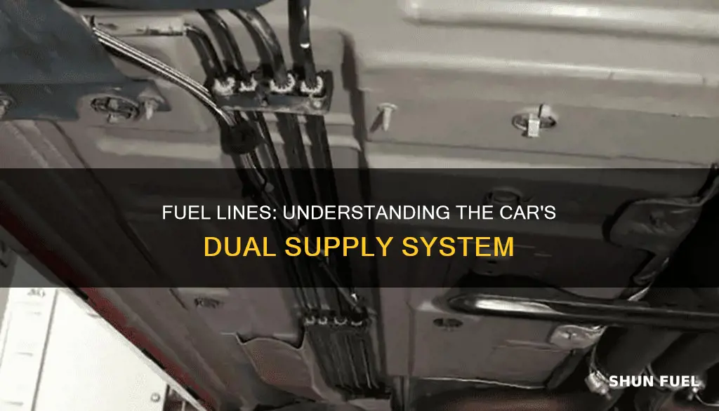 are there two fuel lines on a car