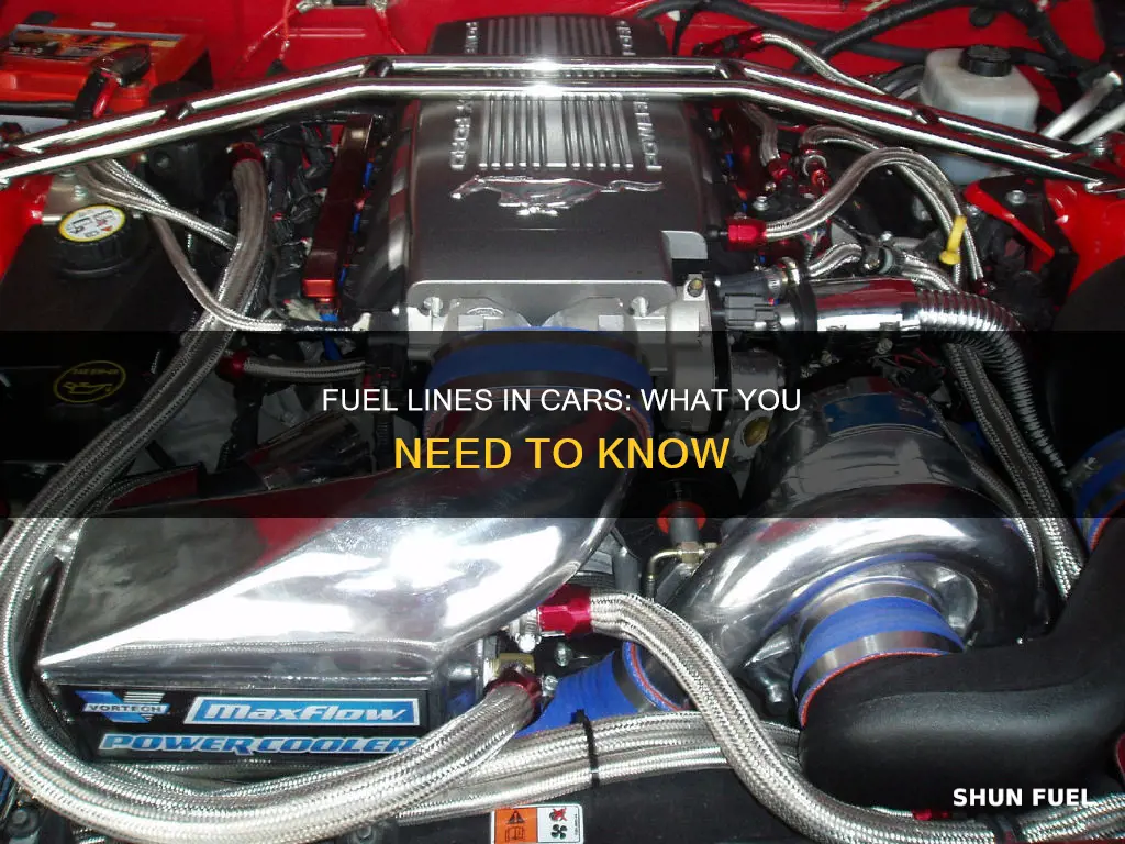 are there two fuel lines on a car