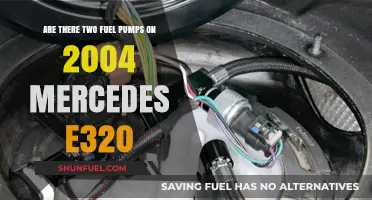 2004 Mercedes E320 Fuel Pump Setup: Are There Two Pumps?