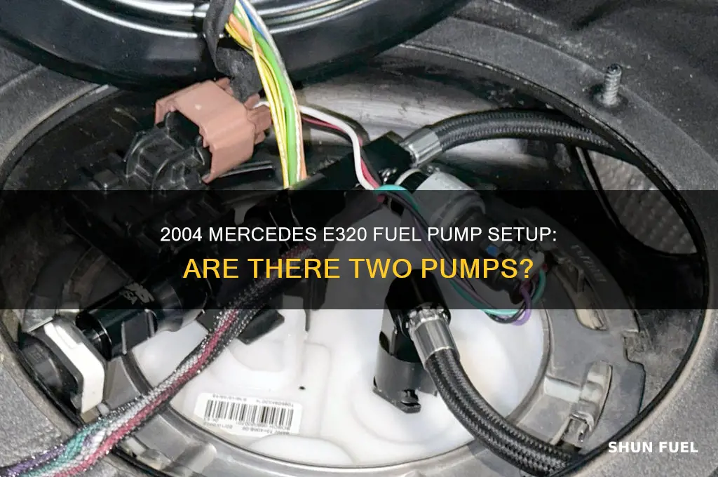 are there two fuel pumps on 2004 mercedes e320