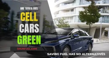 Toyota's Hydrogen Vision: Green Energy or Greenwashing?