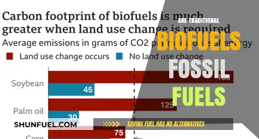 Biofuels: Fossil or Not?