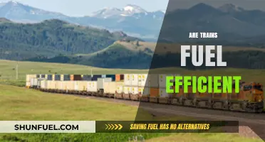 Are Trains the Eco-Friendly Fuel Efficiency Champions of Transportation?