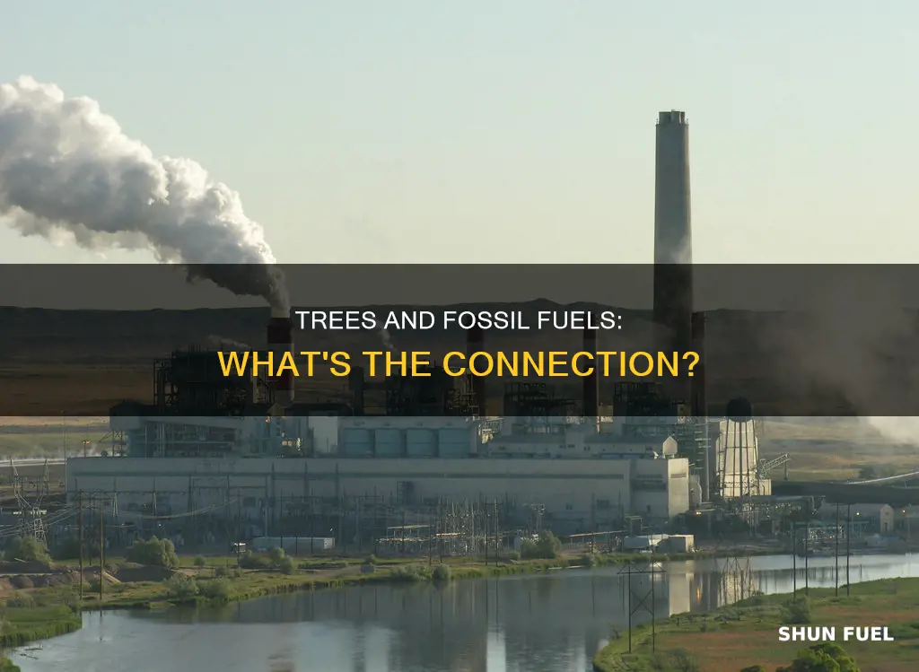 are trees fossil fuels