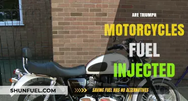 Are Triumph Motorcycles Fuel Injected? Exploring Modern Engine Technology